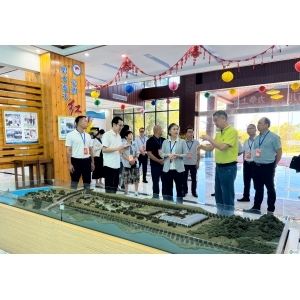 梧州市副市长苏颖莅临碧清源调研指导